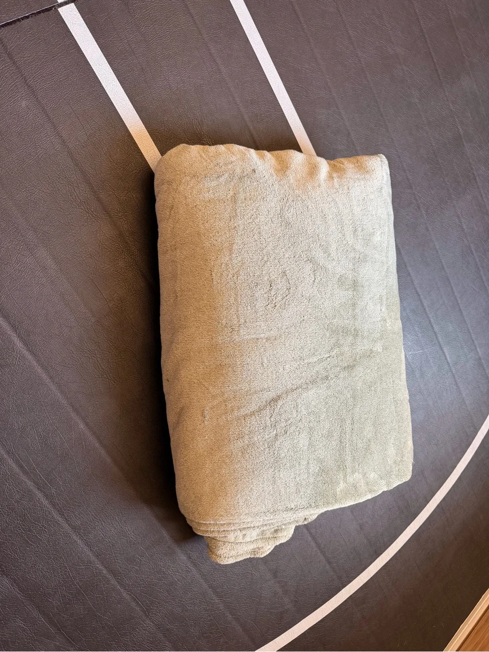 Soft Plush Sage Green Bed Blanket - Cozy Home Bedding Berkshire